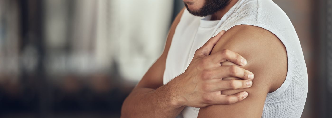 Enhances Protein Building Within Muscle Cells